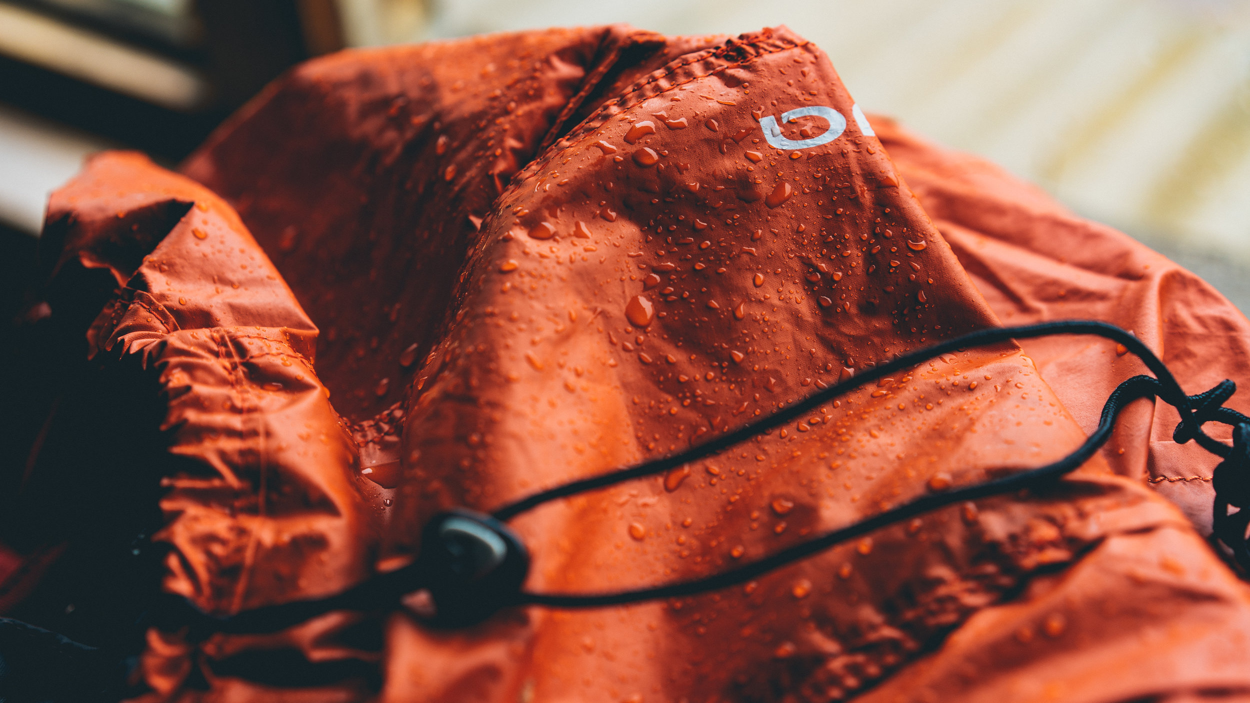 Parsonage’s View on Director Share Purchase