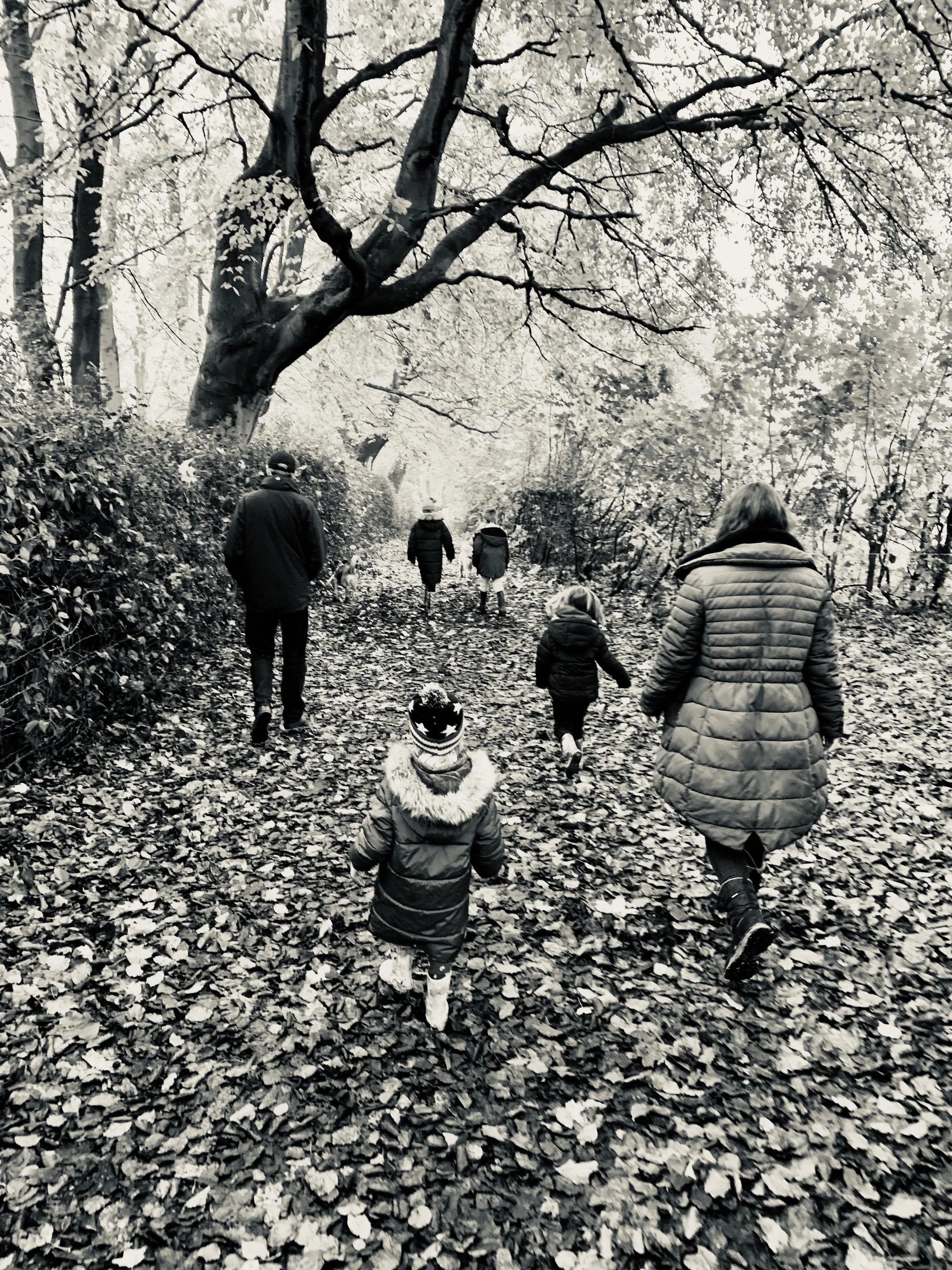 Autumn Statement 2022 