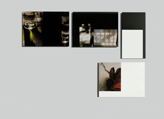 Photography and painting in dialogue. 2006-2008