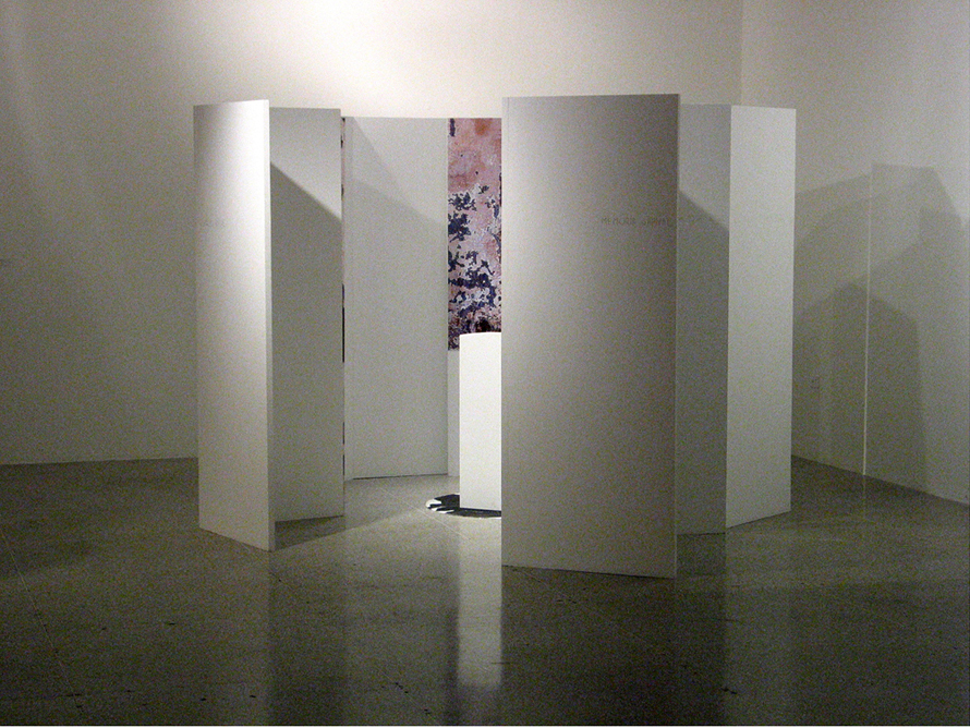 Carnal memory. Contemporary Museum of Maracay, Venezuela. 2004