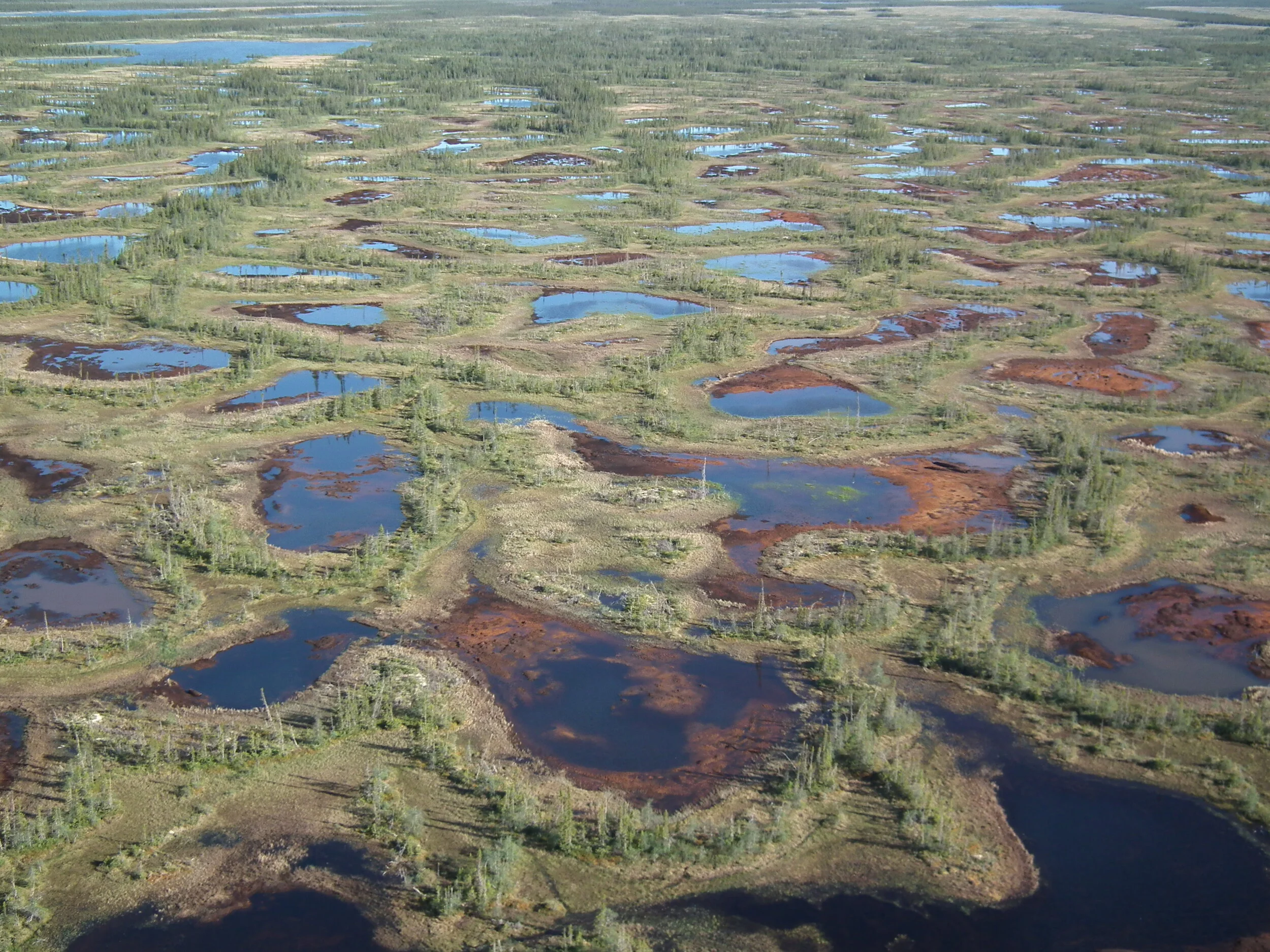 Peatlands: Vital for Carbon Storage and Stewardship