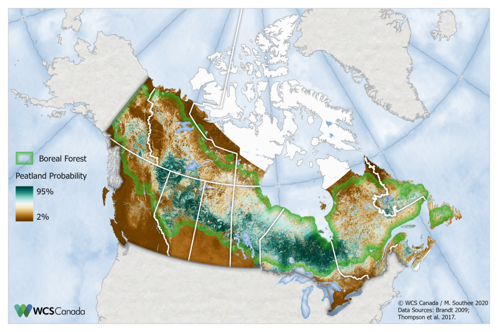 Canadian Boreal forest and peatlands. Map Credit: WCS Canada/Meg Southee