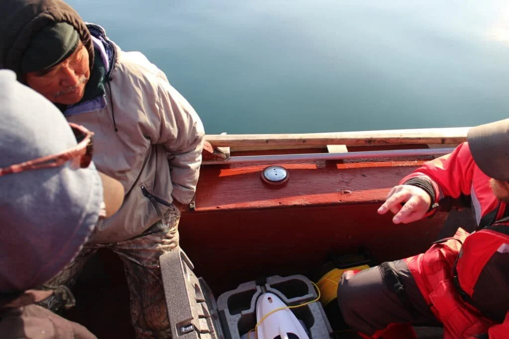 Indigenous-led conversation can help us reverse the decline of species at risk of extinction in Canada