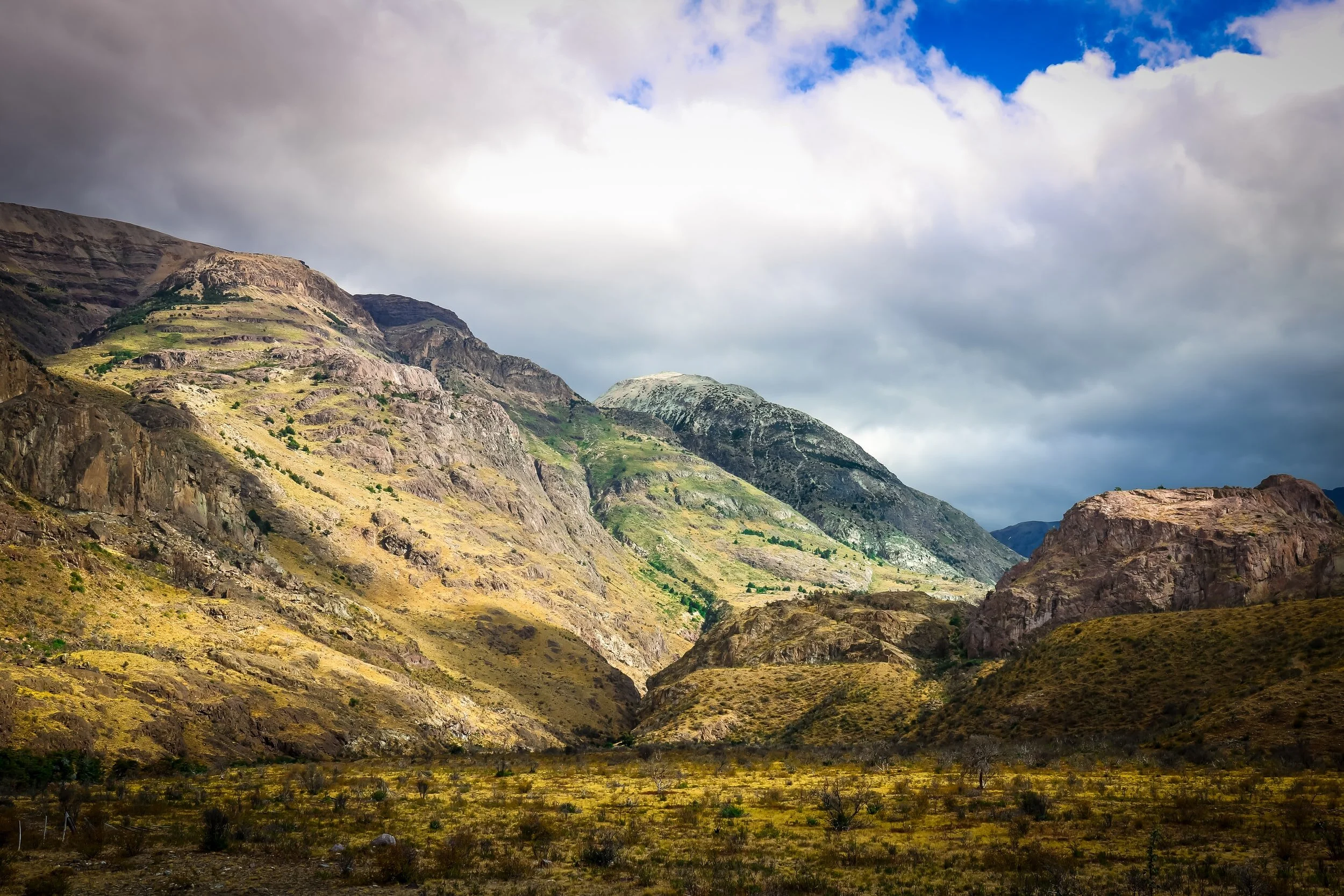 Article: Tracking the History of Protected Areas in Chile: Territorialization Strategies and Shifting State Rationalities.