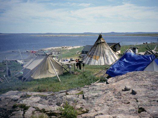 Indigenous Stewardship in Eeyou Istchee