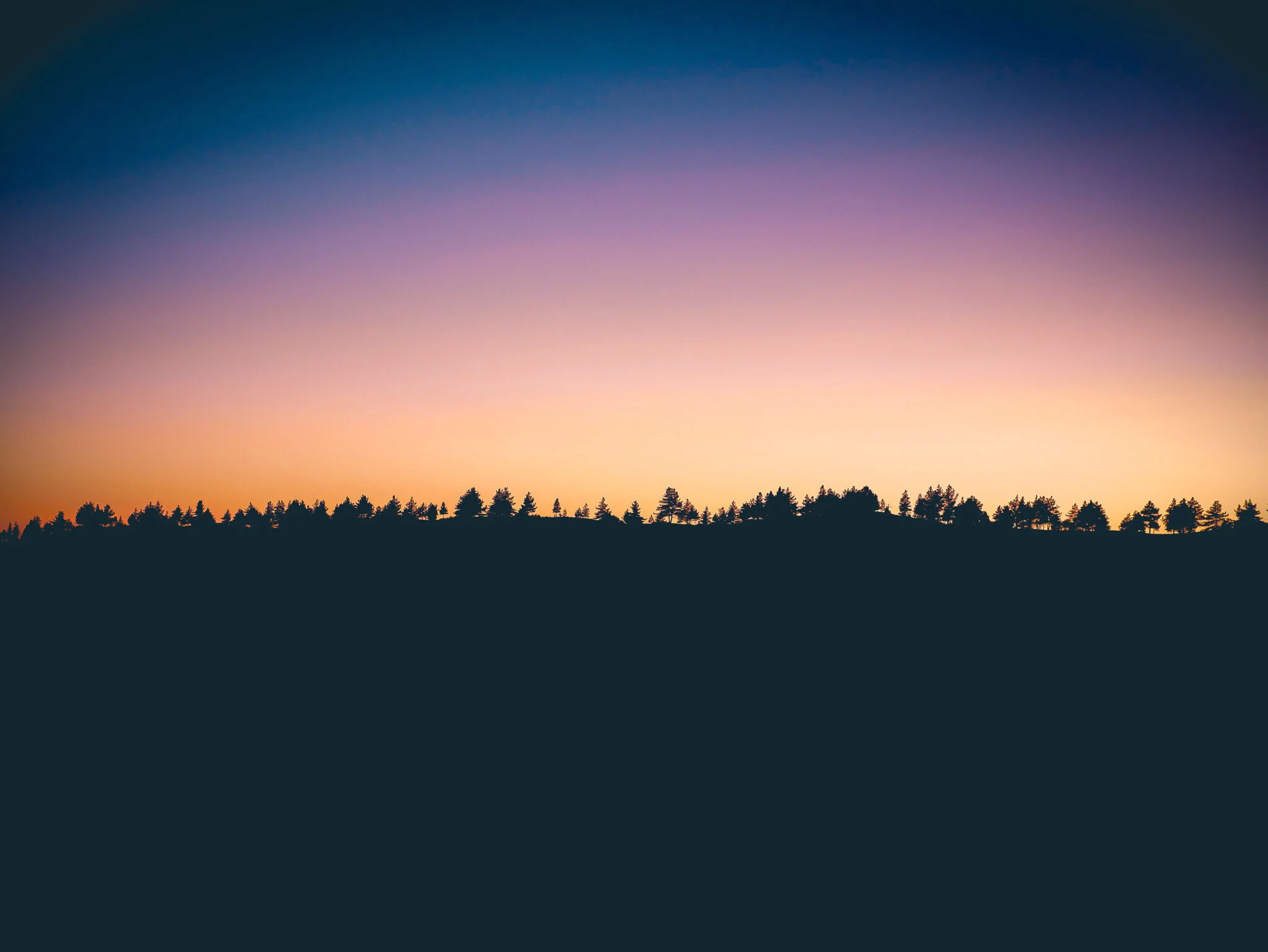 Input by the Conservation Through Reconciliation Partnership (CRP) into Parks Canada’s Horizon Scan