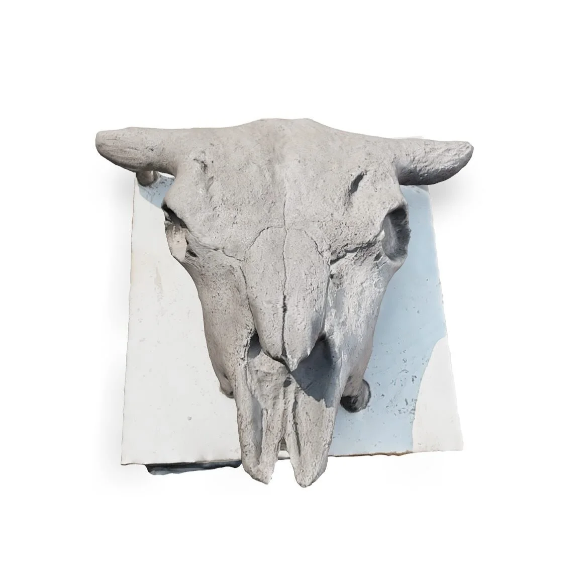🌟 Exciting news! 🌟 Did you know you can now explore a stunning 3D scan of Sheri Osden Nault&rsquo;s Seeded Bison Skull? This incredible artwork not only responds to the Batoche National Historic Site but also celebrates the reintroduction of Bison 