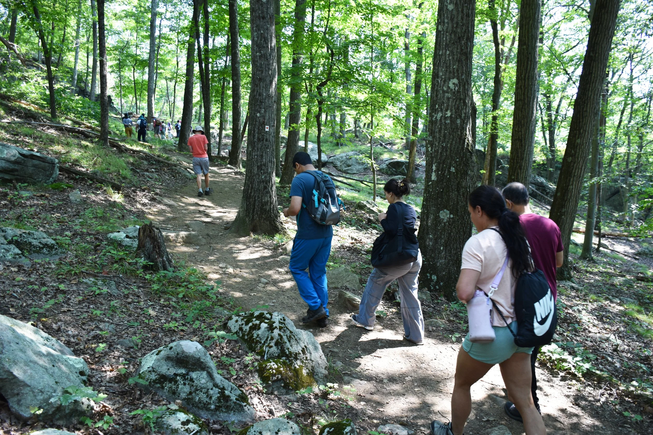 Hike and Outdoor Skills with Tomer