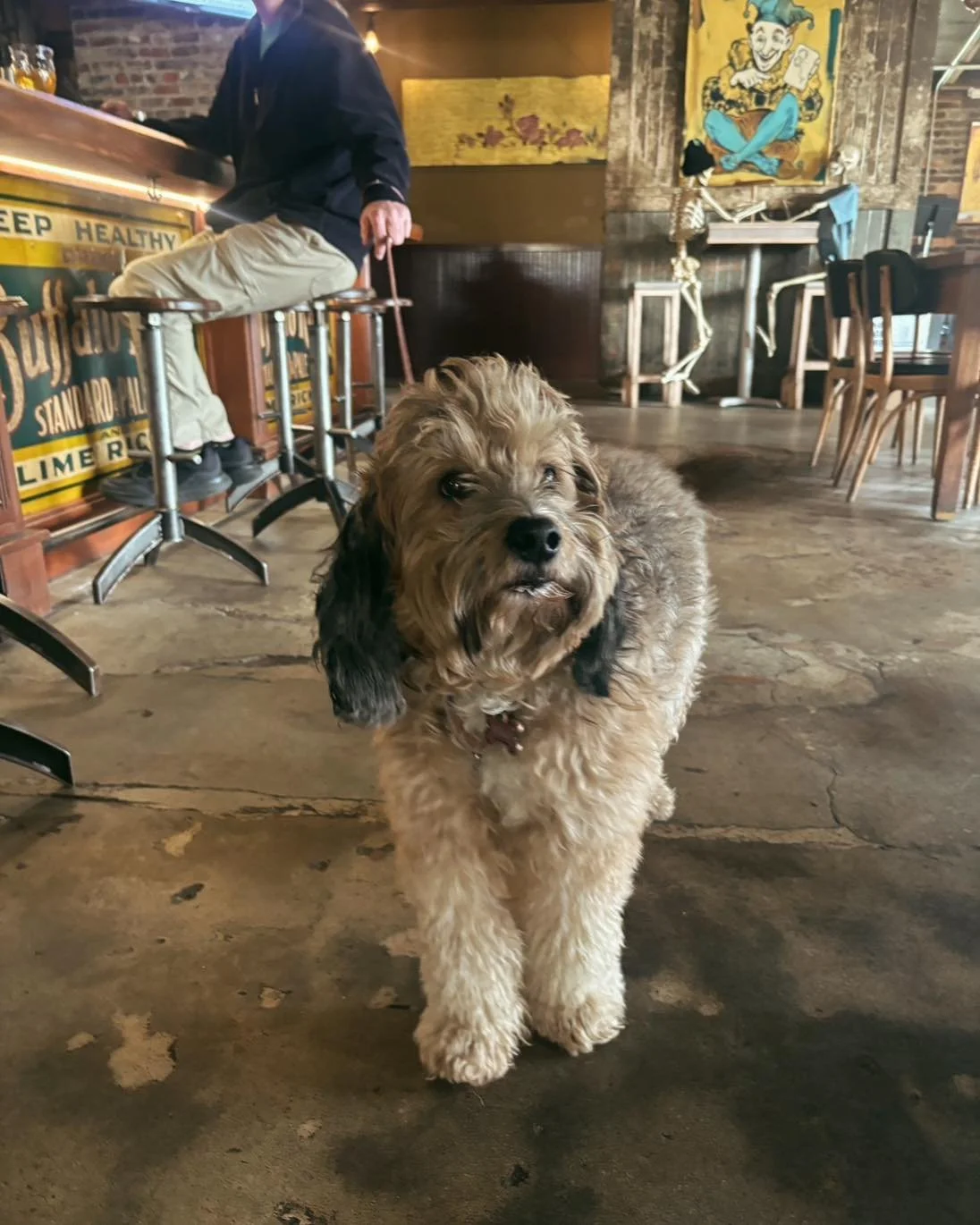 Nothing says holiday weekend like cold drinks, good company, and dogs on the patio! 🐶🍻 The treat jar is stocked, so bring your four-legged drinking buddy along.

From 6-9 tonight, the Haley Graves Foundation will be here with the sweetest adoptable
