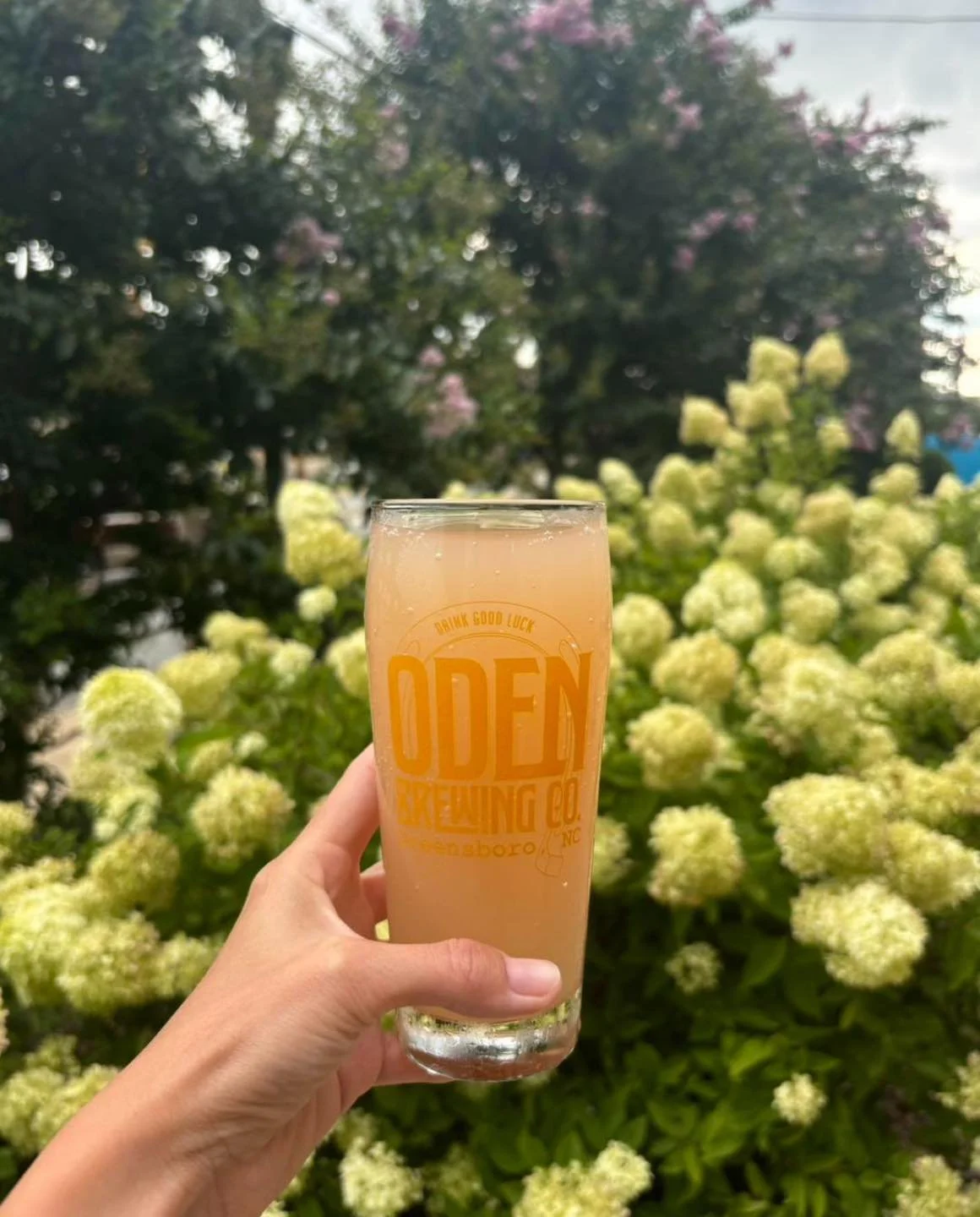 Mondays are cooler with $1 off Oden drafts (including Happy Go Lucky THC Seltzers ;)

Our monthly book club, @odenbooksontap meets tonight at 7pm! We&rsquo;re discussing The Road to Tinder Hearts by Annie Harnett and choosing next month&rsquo;s book!