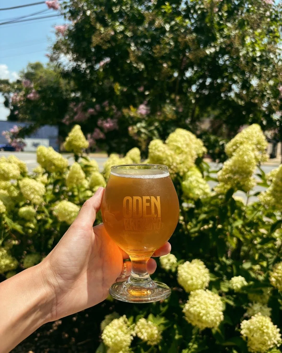 Cold beer, sunshine, and Friday&hellip; what more could you ask for? 🍻☀️

David Lin takes the stage from 6-9 🎶, and Sushi Empire serving up dinner from 5-9 🍣
Grab your friends, find a spot in the beer garden, and let the weekend begin!

@sushiempi