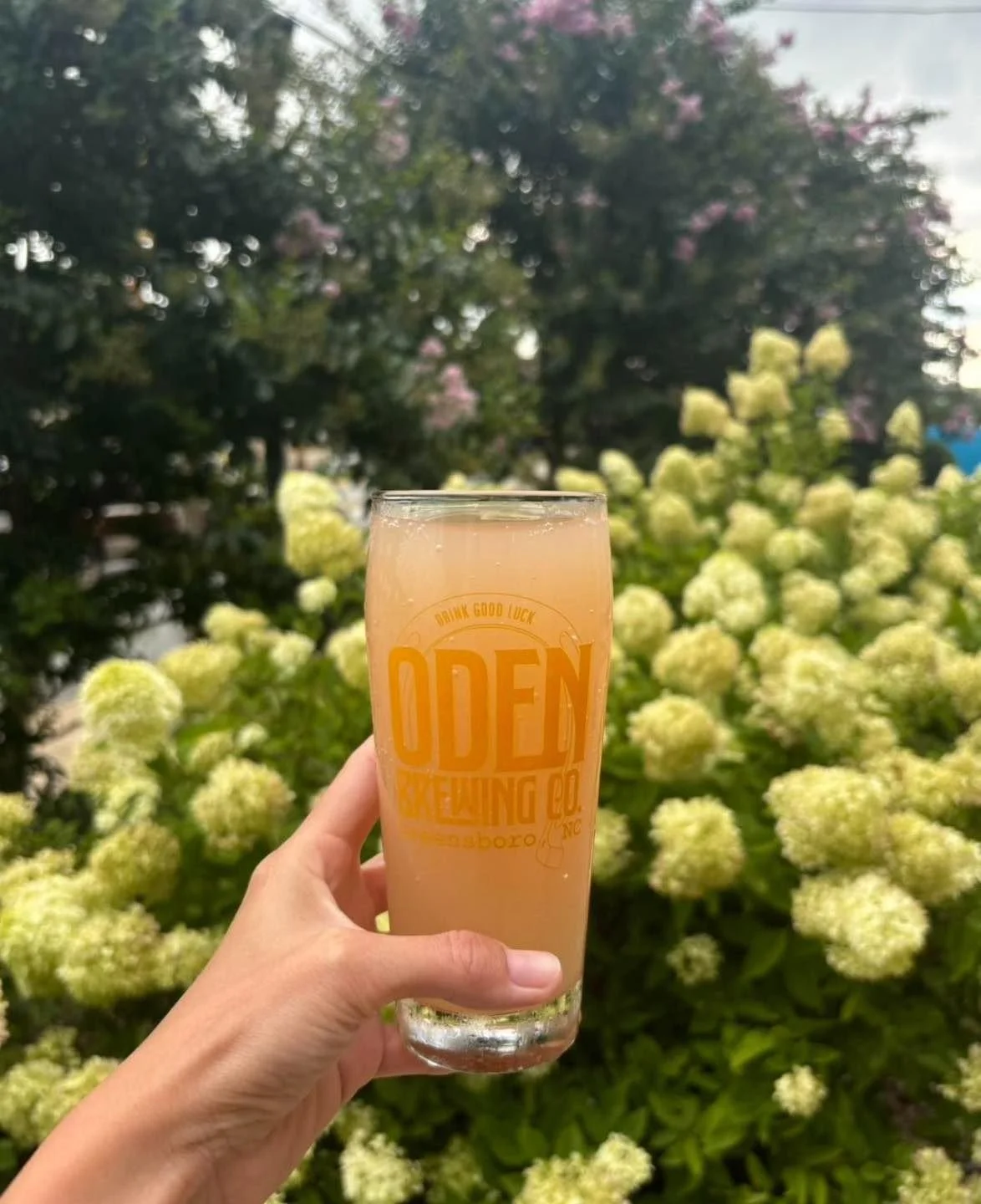 A little Monday motivation: $1 off all Oden drafts, every. single. Monday. 🍺 (Happy Go Lucky THC drafts included ;)

Food Truck: Send it Sammies 5-9 @senditsammies