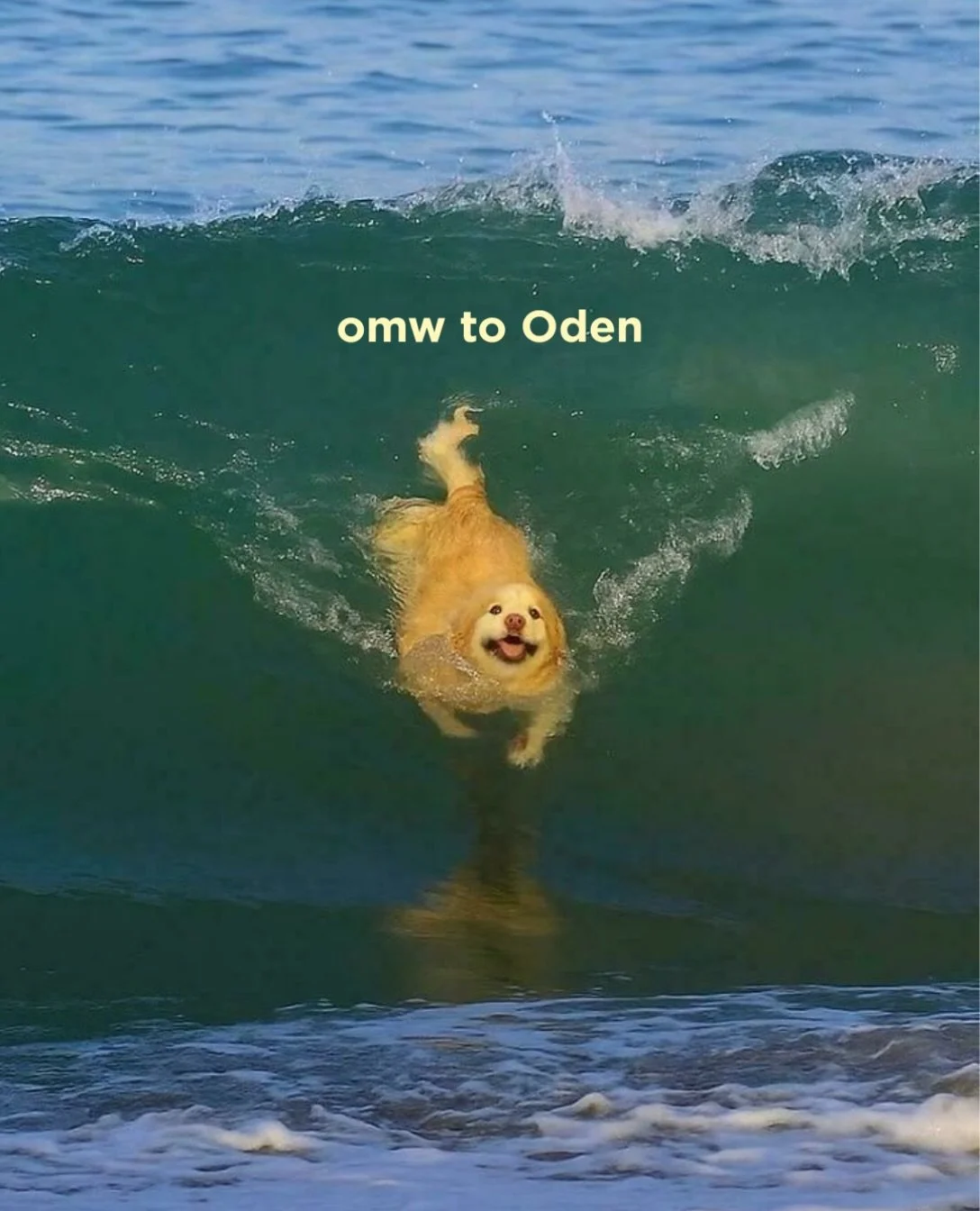 Catch the wave to Oden tonight! The sun is shining, the beer is flowing &amp; the live music is playing! See you there!

Live Music: @jeffgova 8-11