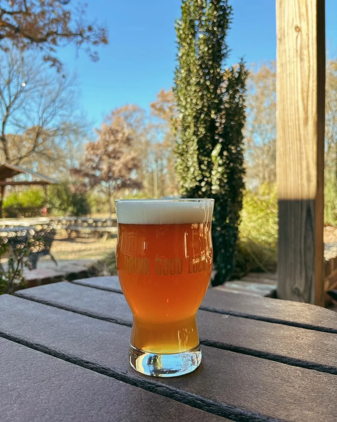 The patio is open 2-10 and the beer is flowing 🍻 Perfect day for $1 off Oden drafts. Come by and start the week with us!

Just tapped:
I Can Turn Left West Coast IPA / 6.3% abv

Featuring a blend of Mosaic &amp; Pacific Jade hops, I Can Turn Left is
