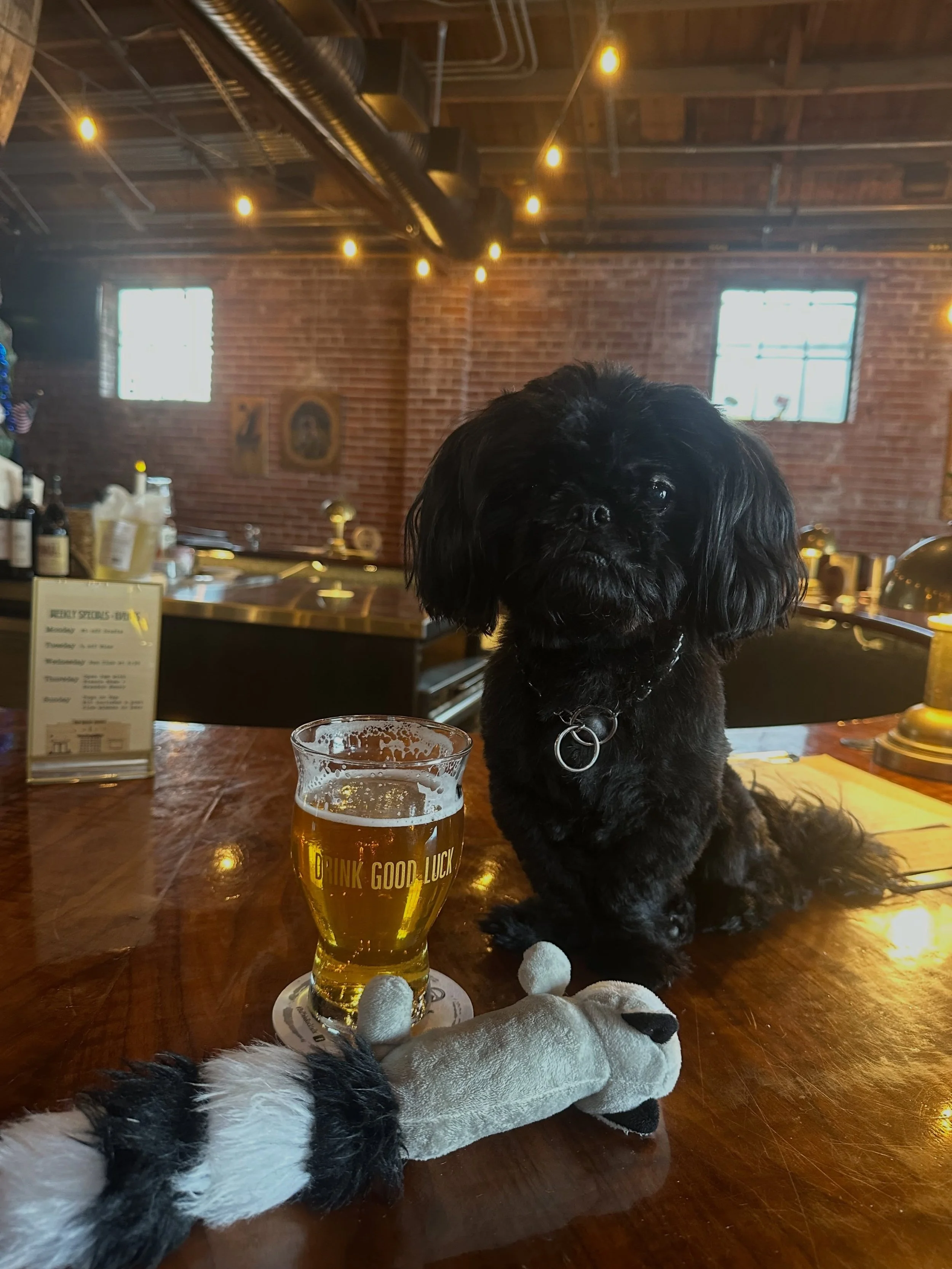 Bear said it&rsquo;s a great day for local beer and live music so who are we to question him!? 

Open at 2 

Thursday Night Open Jam 8-11pm, bring your instrument or just your talent! Hosted by @synergyilm 

$10 Damn Good Margs 🍋&zwj;🟩