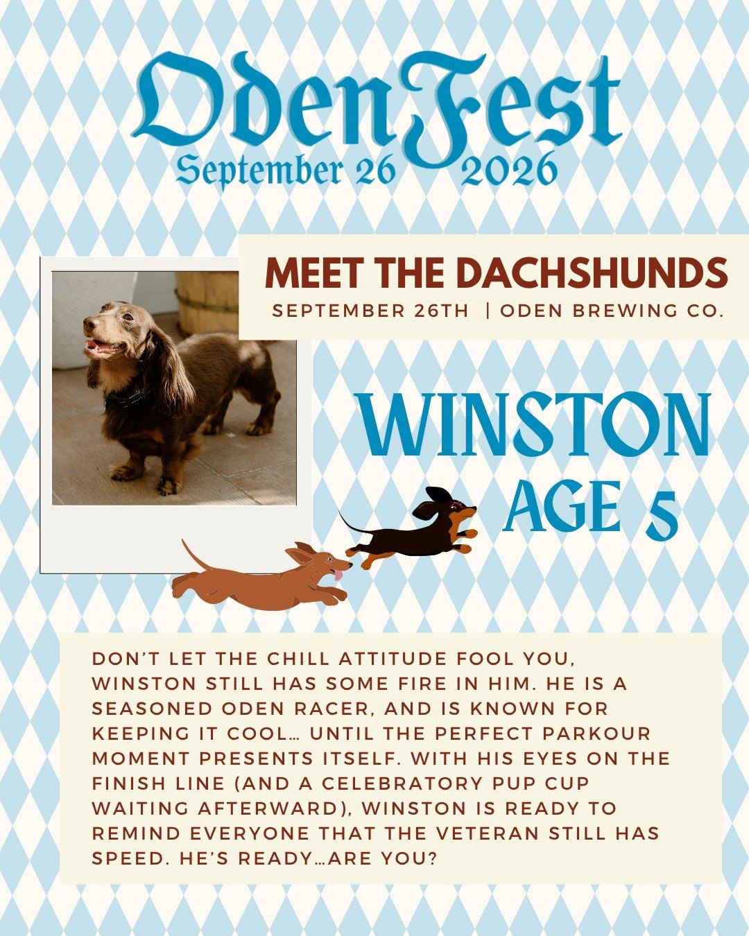 THE WEENIES ARE READY TO RACE 🏁🐶

This Saturday, it&rsquo;s time for the most adorable event of Odenfest: the Dachshund Derby!

Meet the tiny-legged competitors who will be racing for glory, bragging rights, and of course&hellip; treats. 🦴✨

Got y
