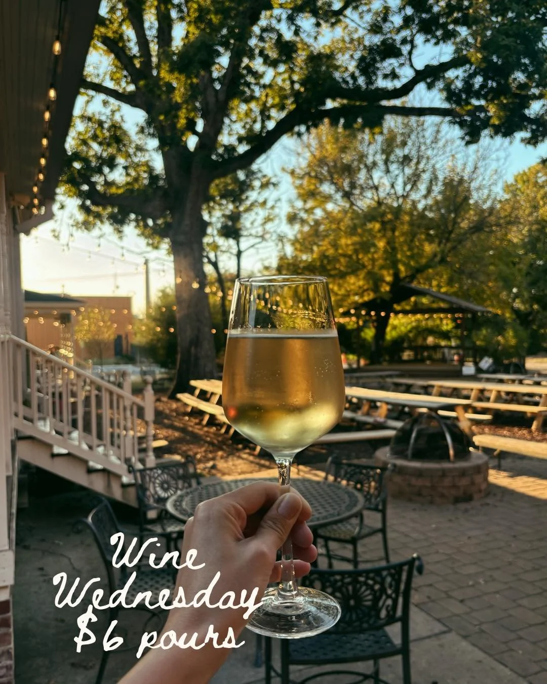 Come check out our new lights in the beer garden and grab a $6 glass of wine 🥂✨

La Sinaloense Birrieria is here until 9pm and we&rsquo;re open until 11pm. Cheers!
@lasinaloensebirrieria1