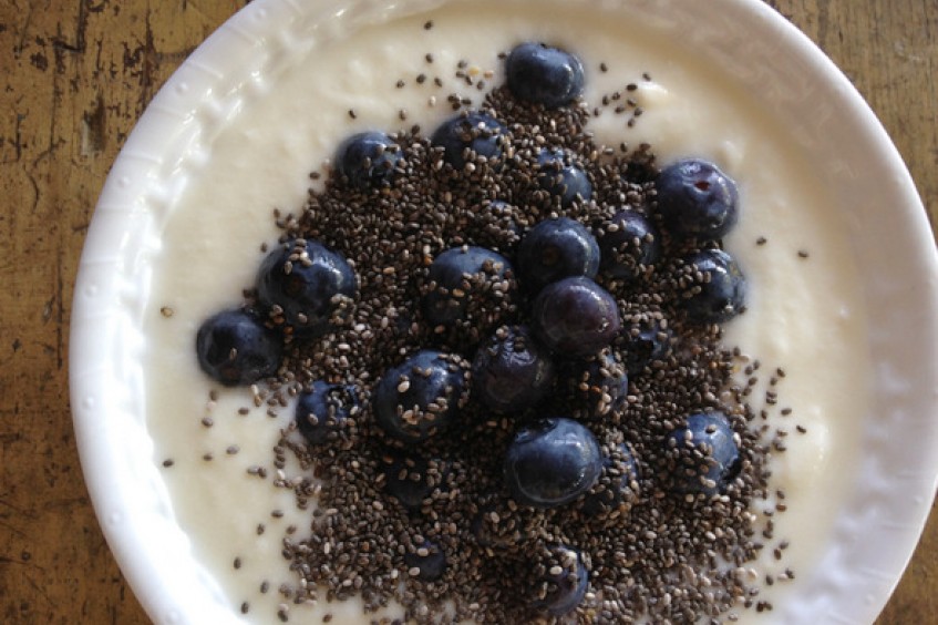 blueberrychia.jpeg