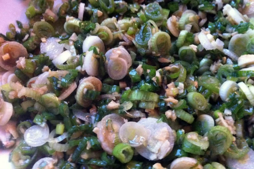 gingerscallionsauce.jpg