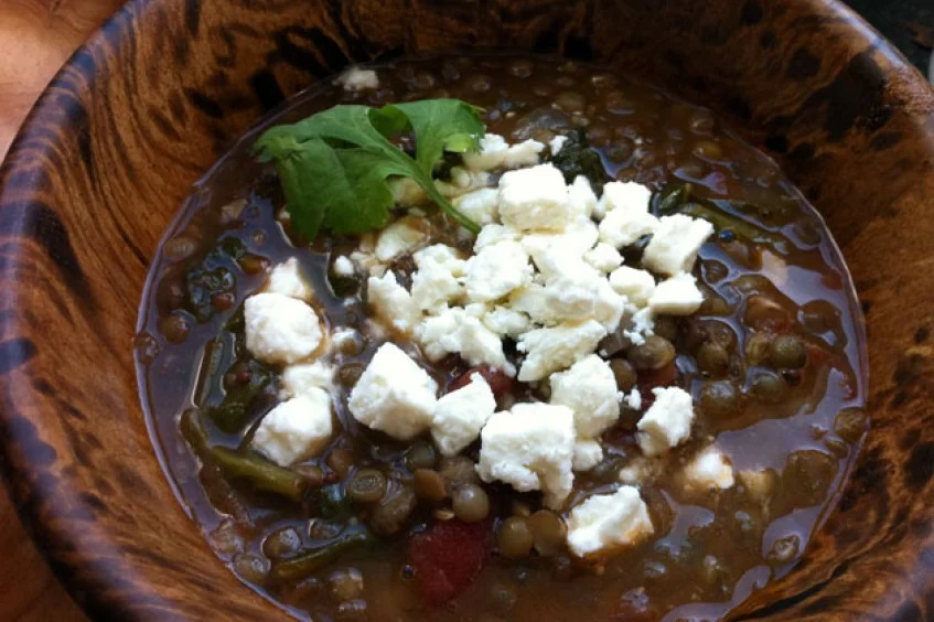 42 Can Dogs Have Lentils Soup