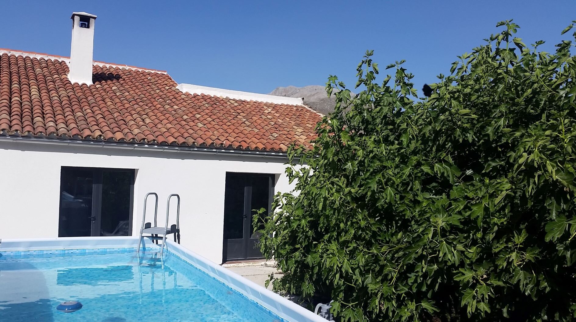 The seasonal swimming pool for guests.
