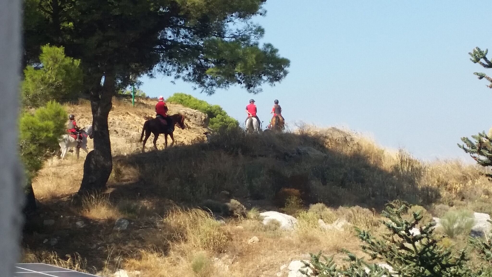 Treking on horseback through the mountains