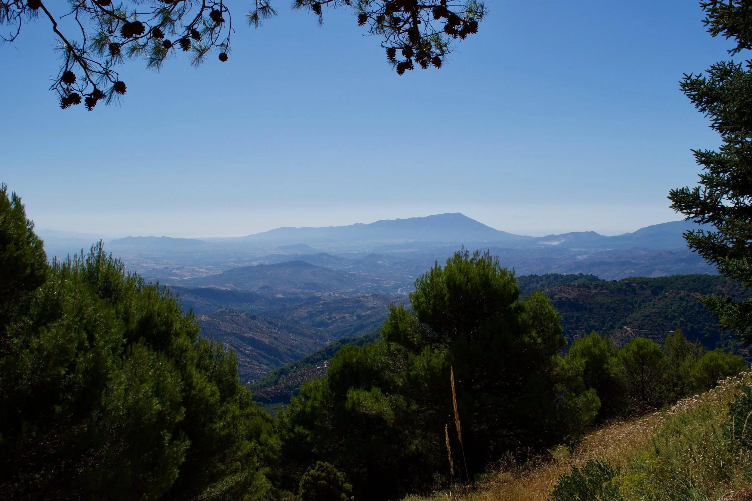 DSC_0648.jpg