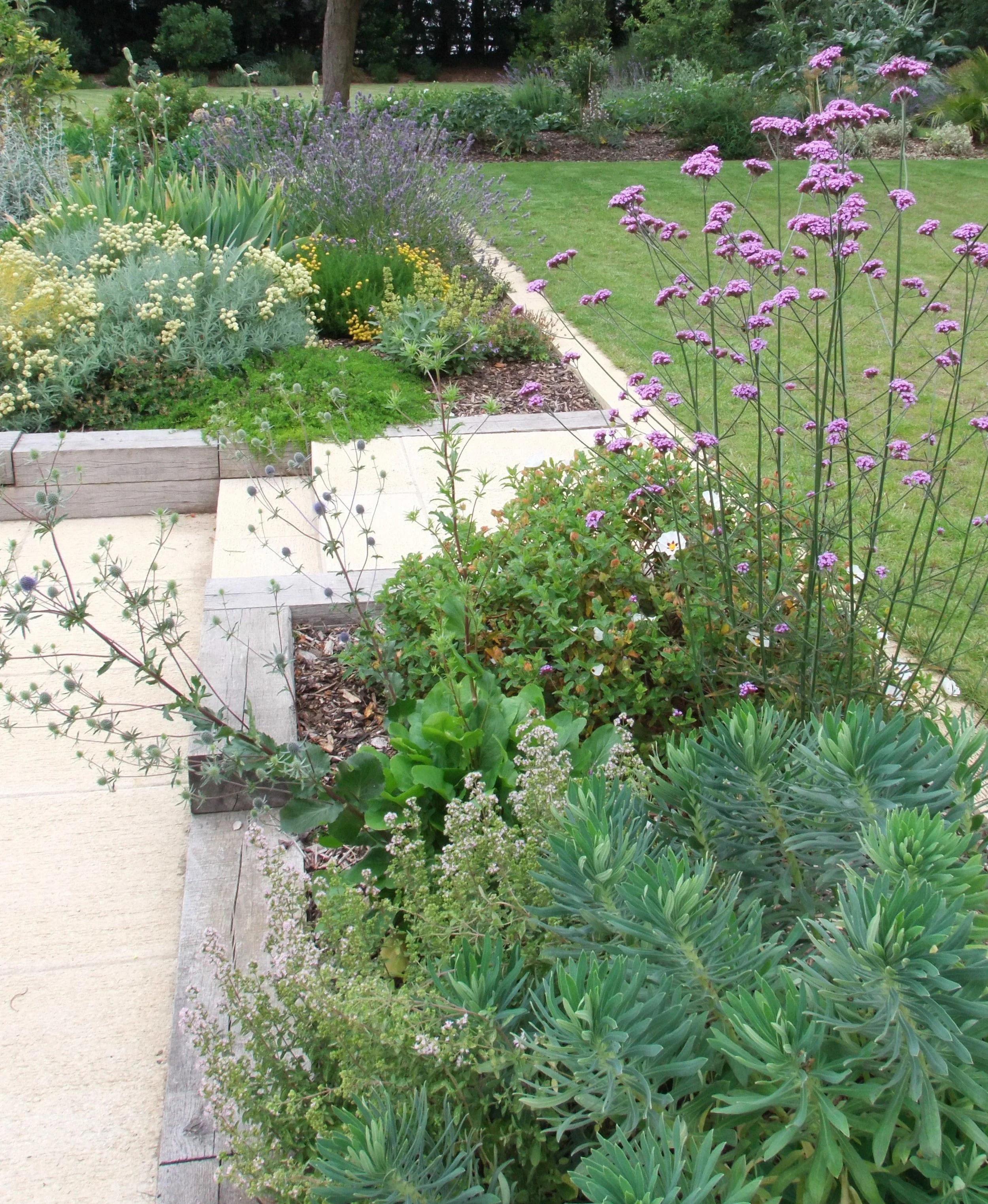 Grozone DF3 Project After.jpg