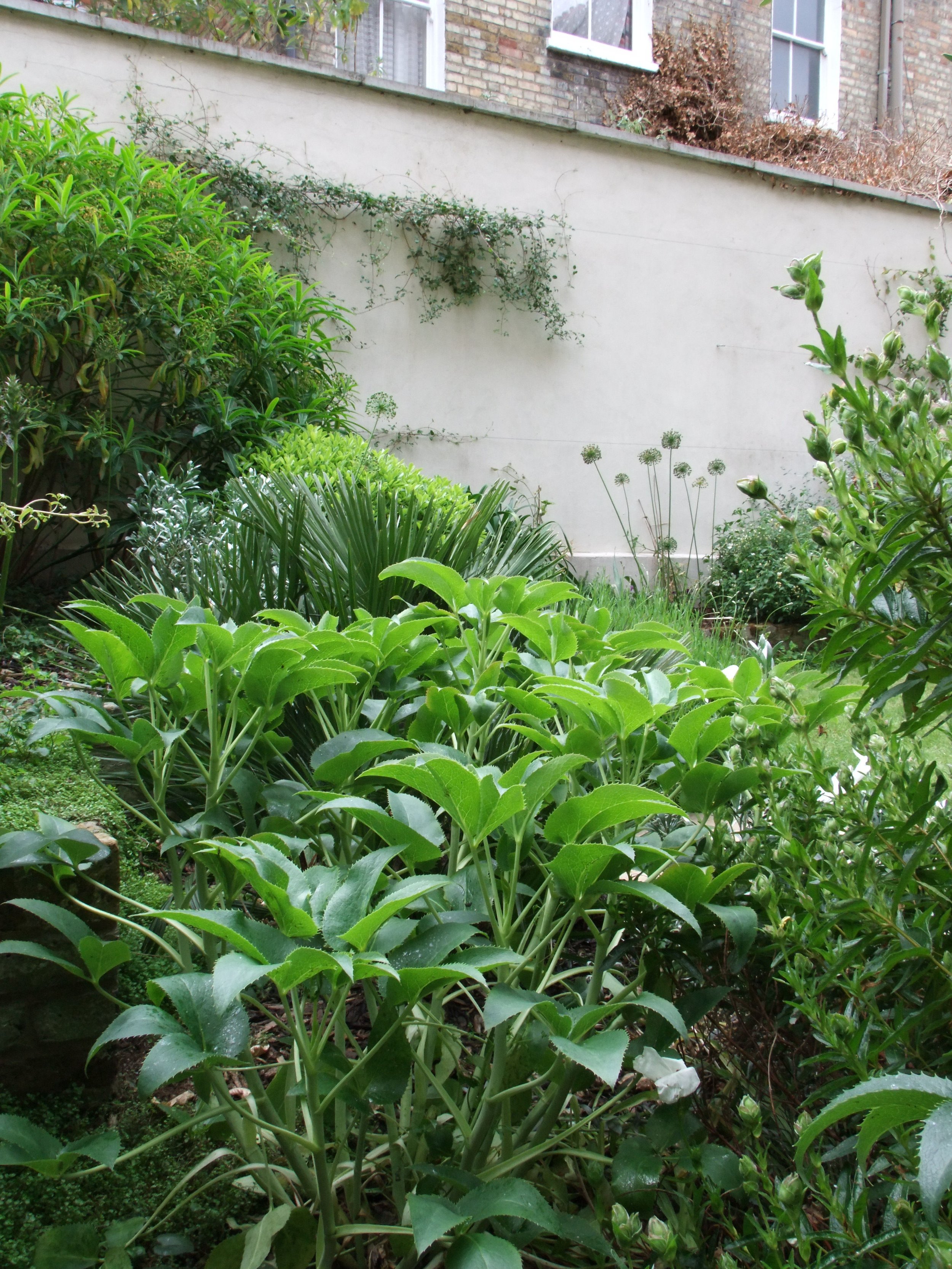 2010_0720GardensGrozone0017.JPG