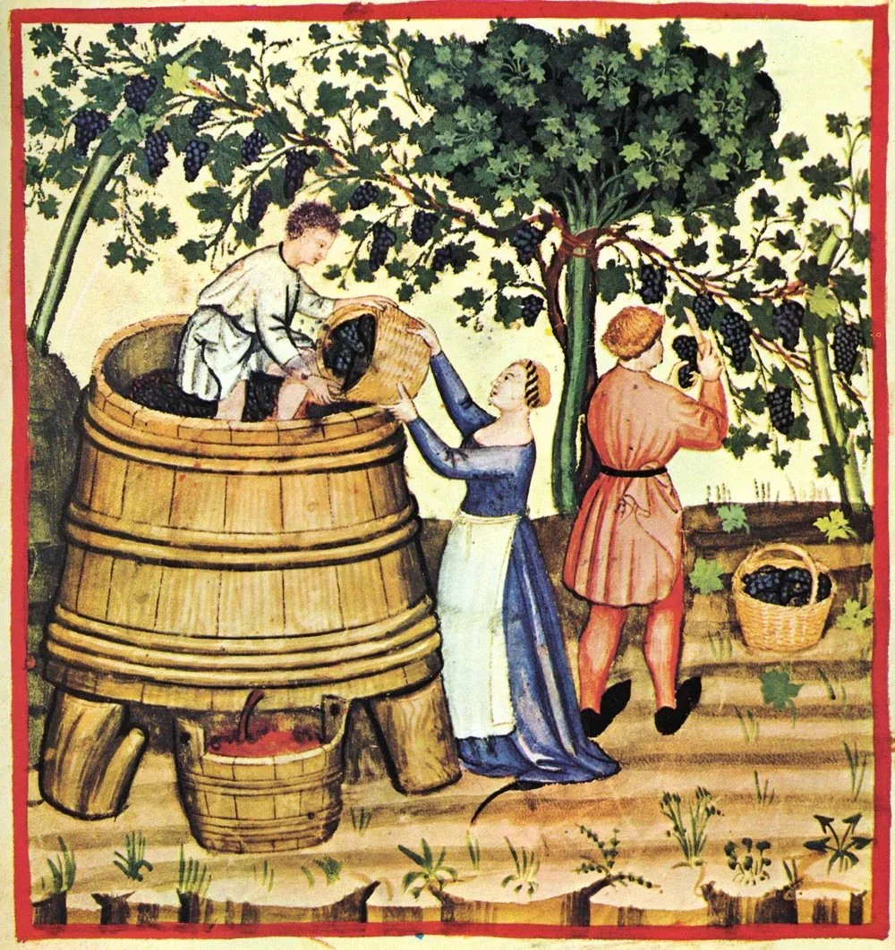 ancient wine.jpg