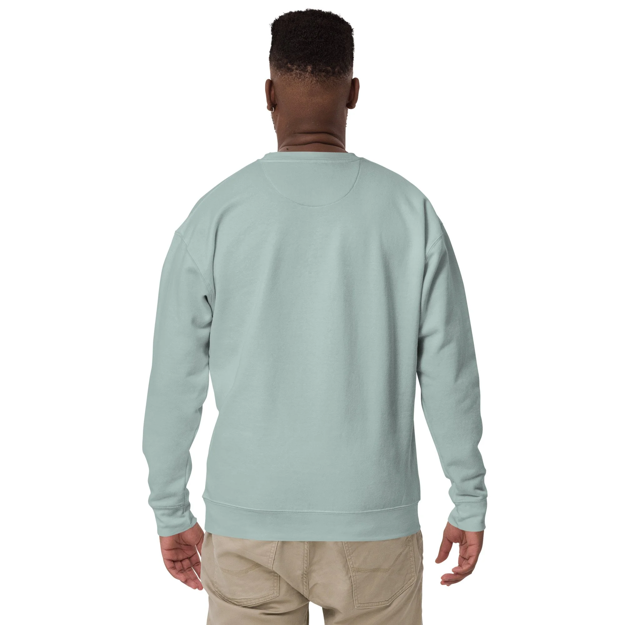 unisex-premium-sweatshirt-agave-back-69c9840a14723.jpg