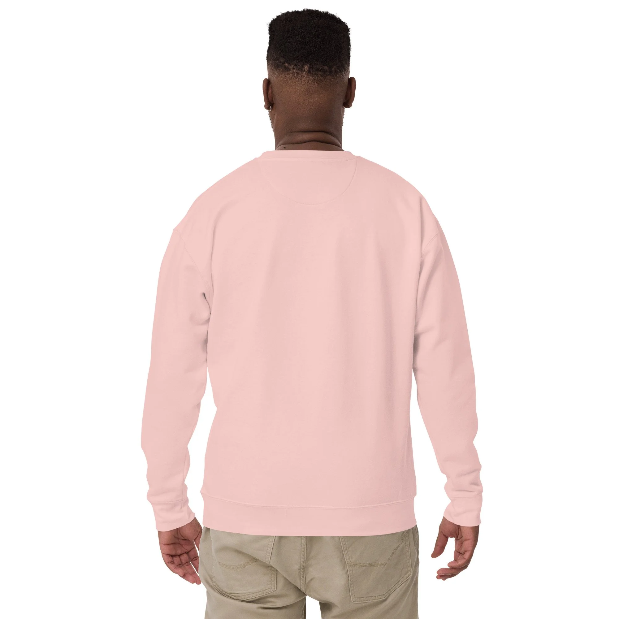 unisex-premium-sweatshirt-light-pink-back-69c9840a16e40.jpg
