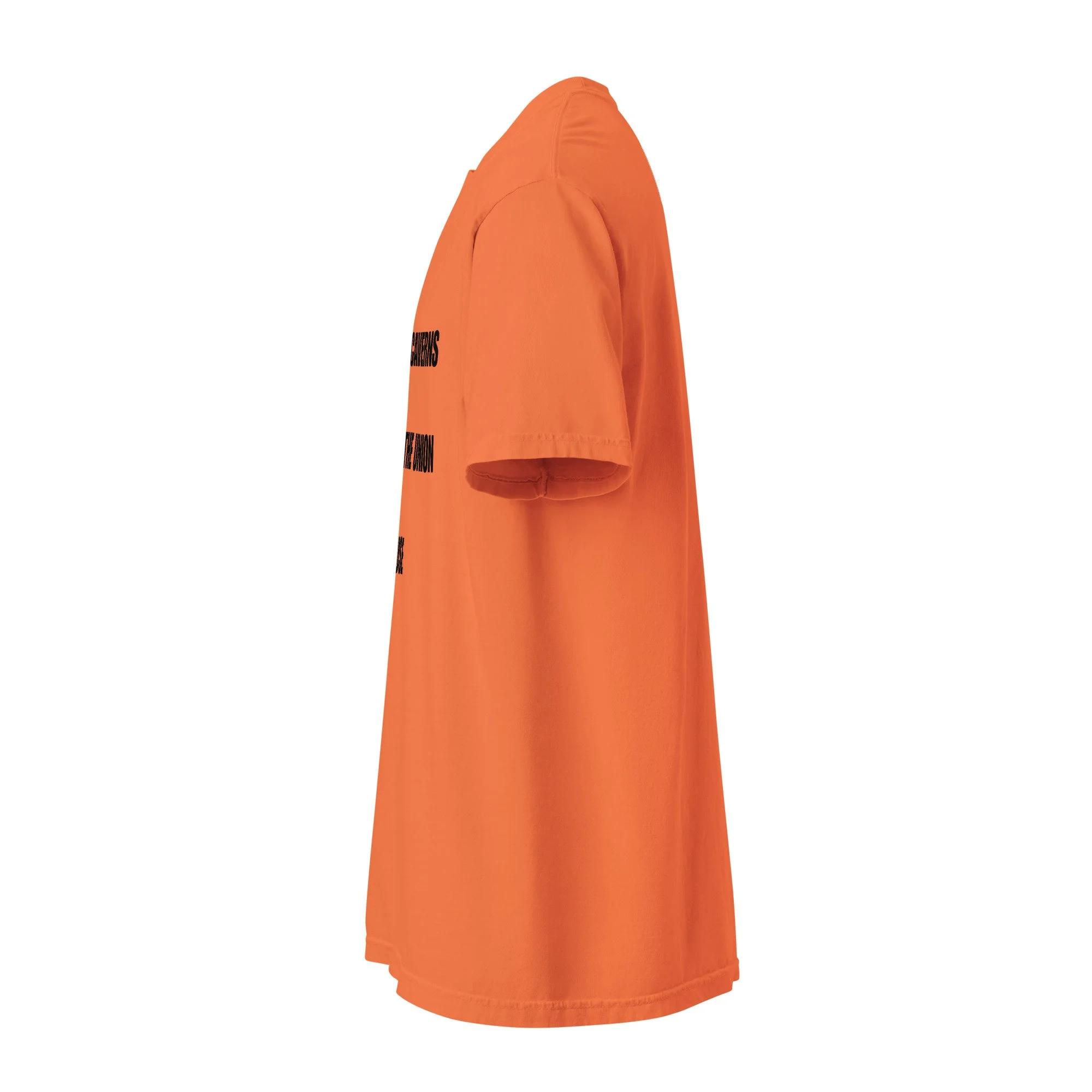 unisex-garment-dyed-heavyweight-t-shirt-burnt-orange-left-6a4fc2473dc85.jpg
