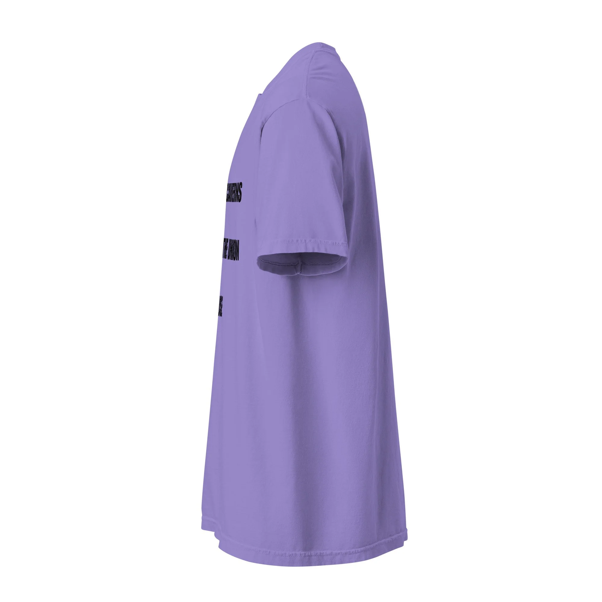 unisex-garment-dyed-heavyweight-t-shirt-violet-left-6a4fc2473dabe.jpg