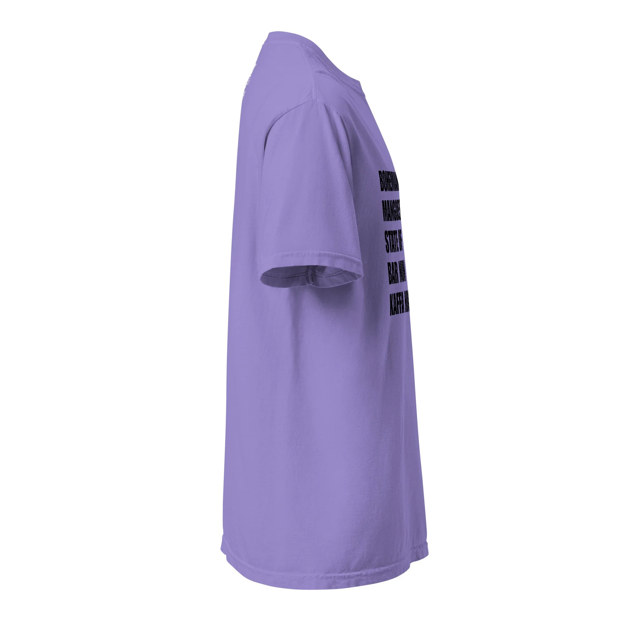 unisex-garment-dyed-heavyweight-t-shirt-violet-right-6a4fc2473e32d.jpg