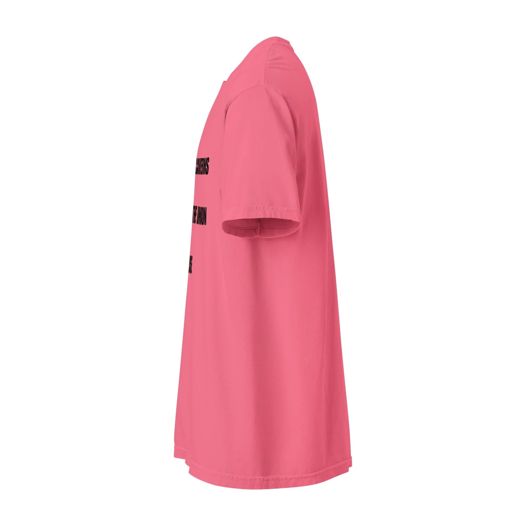 unisex-garment-dyed-heavyweight-t-shirt-crunchberry-left-6a4fc2473db36.jpg