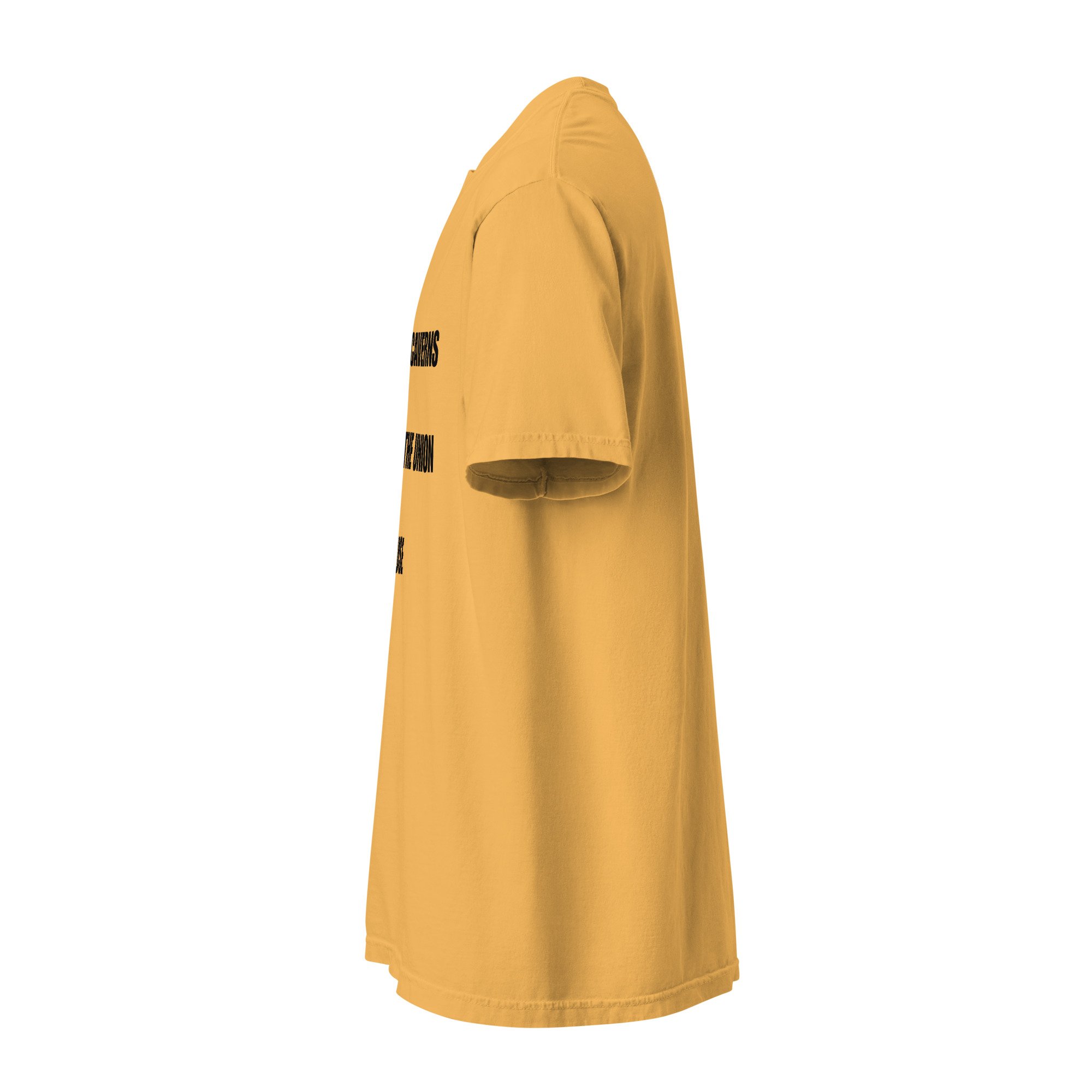 unisex-garment-dyed-heavyweight-t-shirt-mustard-left-6a4fc2473dc17.jpg