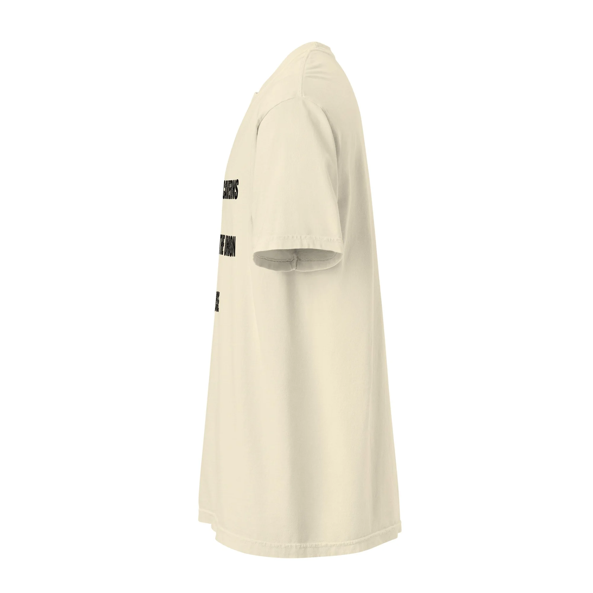 unisex-garment-dyed-heavyweight-t-shirt-ivory-left-6a4fc2473da20.jpg