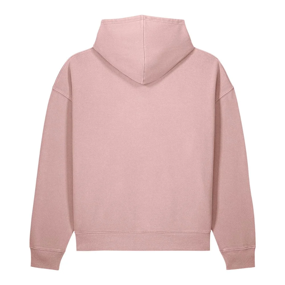 unisex-garment-dyed-chaser-vintage-hoodie-g.-dyed-blush-back-6aadc33db8a9c.jpg