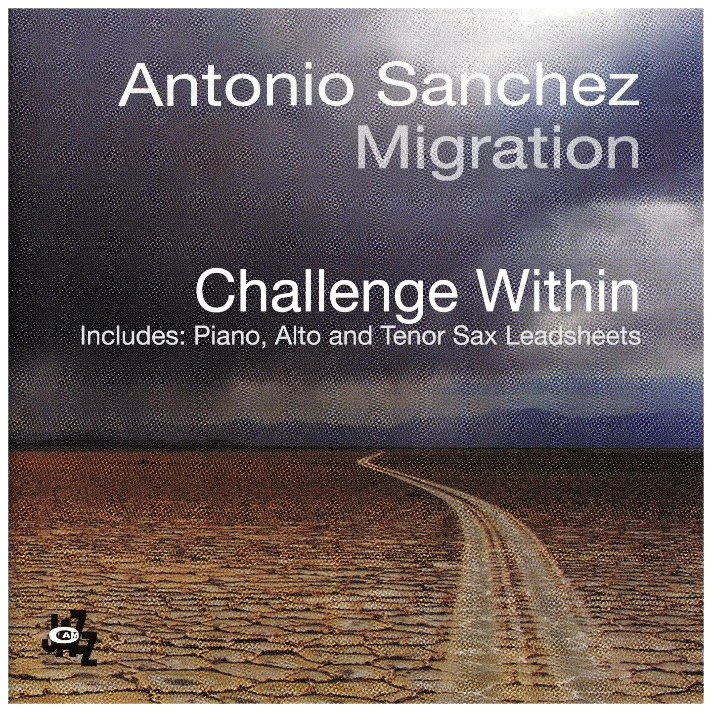 migration_challenge_within.jpg