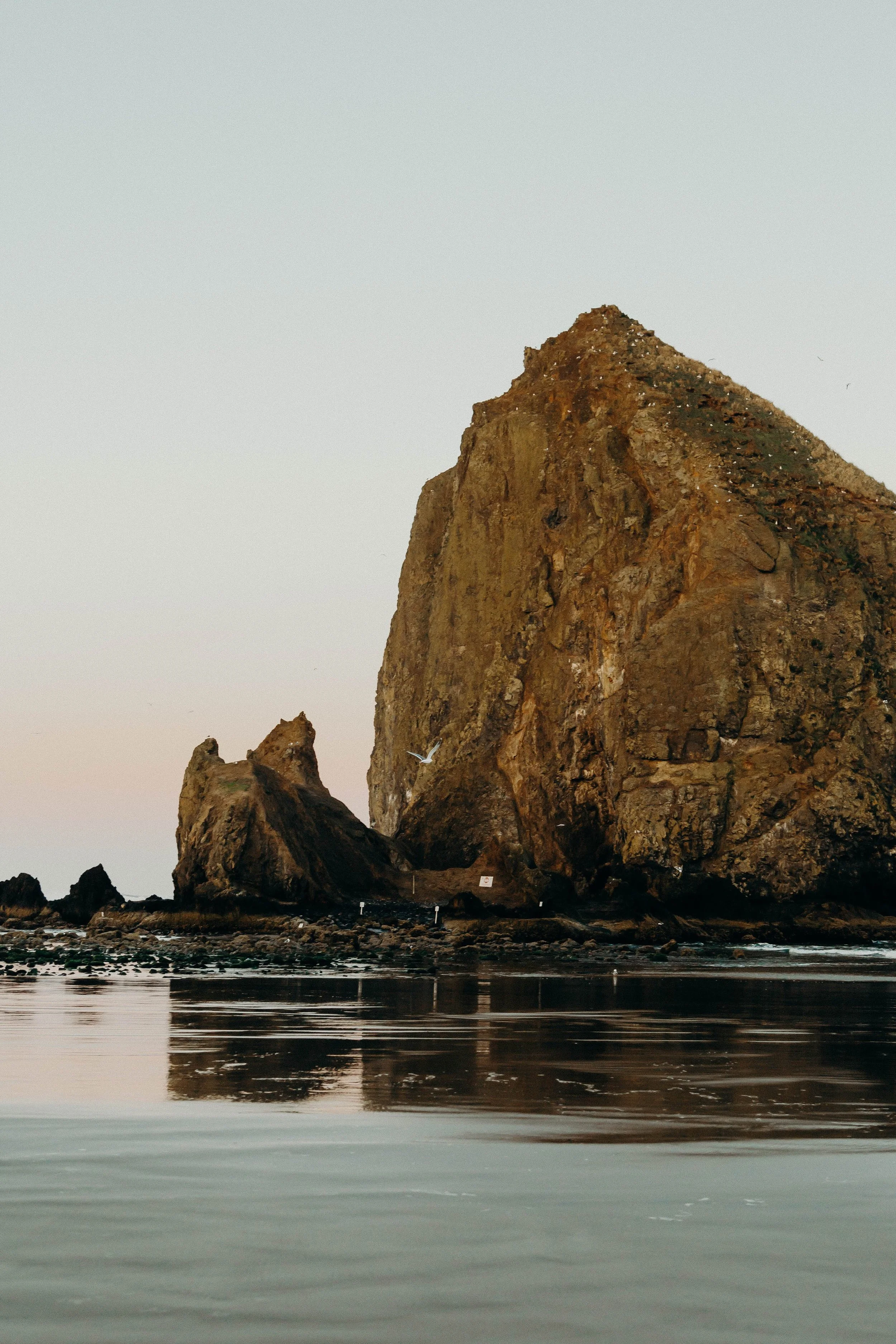 When You Just Don’t Want to Do It