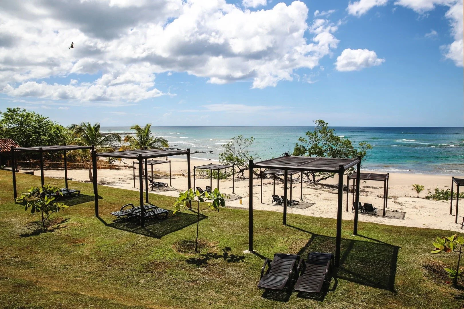 Beachside scene with lounge chairs and cabanas on green grass overlooking sandy beach and ocean, with palm trees, a few small trees, and partly cloudy sky.
