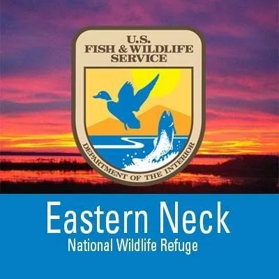 U.S. Fish & Wildlife Service badge with a blue bird and fish emblem, sunset background, and text for Eastern Neck National Wildlife Refuge.