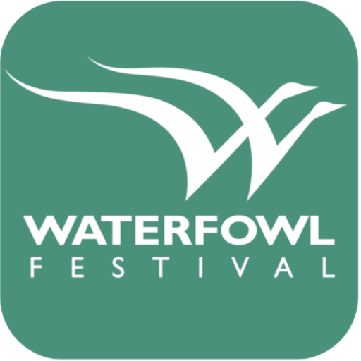 A logo for the Waterfowl Festival featuring stylized white waterfowl on a green background with the text 'WATERFOWL FESTIVAL' beneath.