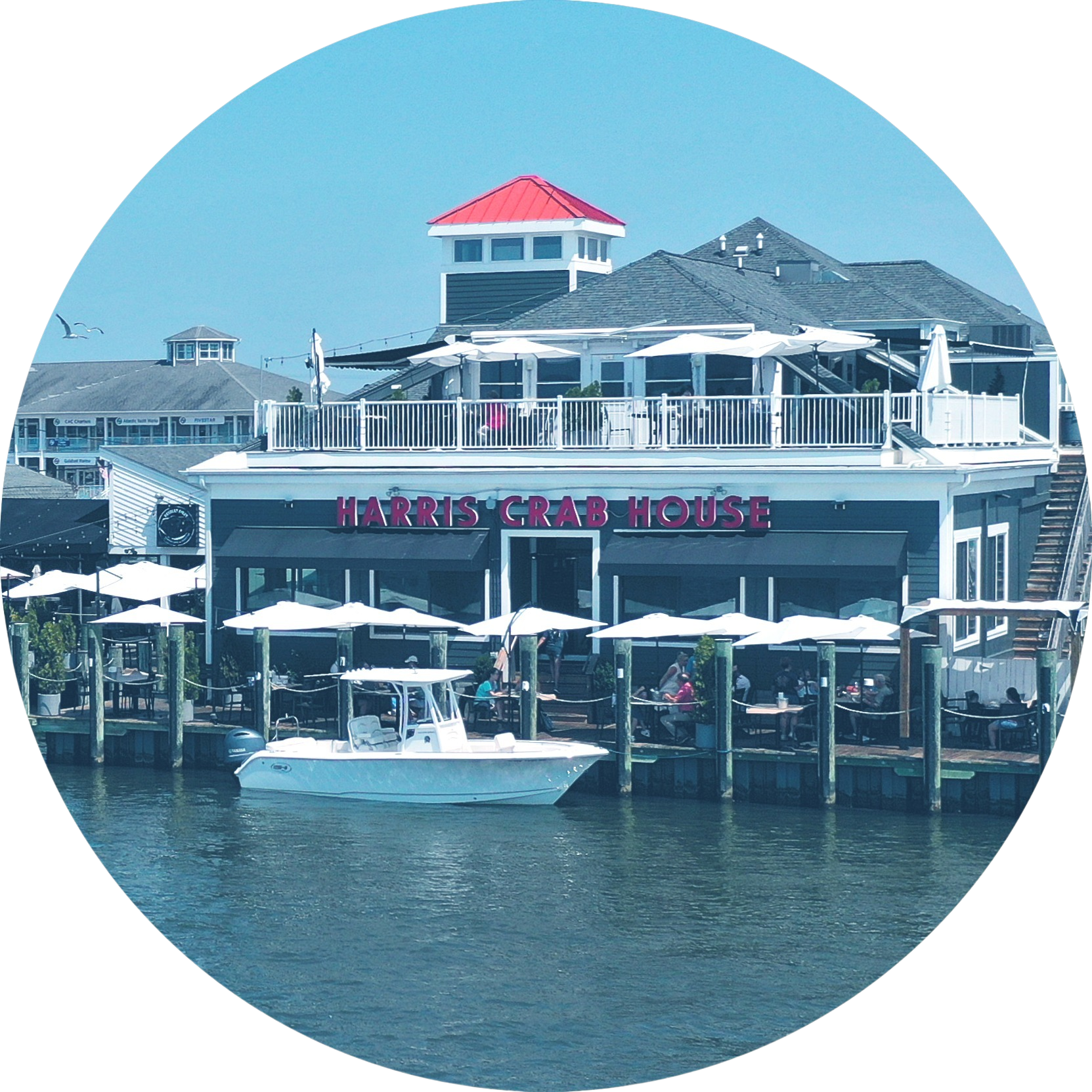 The Harris Crab House restaurant located by the water with outdoor seating, white umbrellas, a dock, and a small boat in the foreground.
