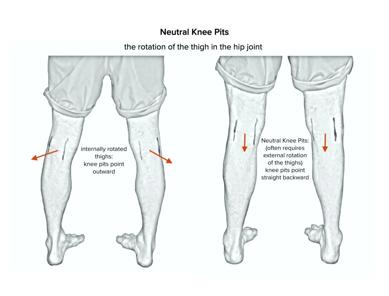 Internal And Medial Rotation Medial Rotation; Internal Rotation – LWMDUH
