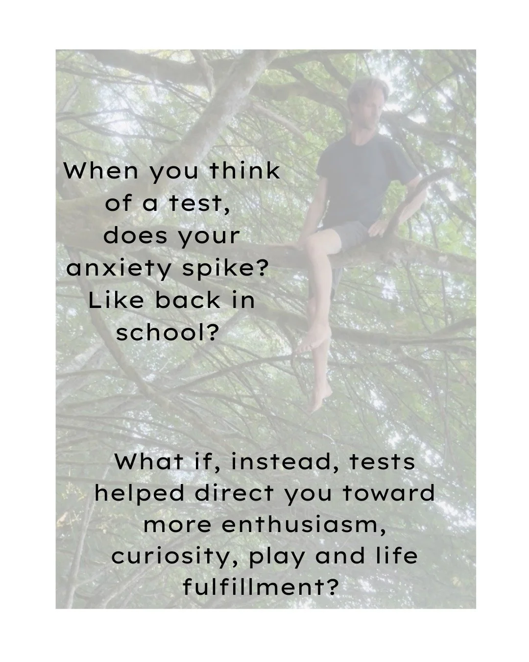 I recently renewed my certification as a Mov Nat Trainer! 
Remember taking tests in school? So many feelings and coping behaviors come up! 
There&rsquo;s thoughts: &ldquo;Am I good enough?&rdquo; &ldquo;Do I know enough?&rdquo; &ldquo;I&rsquo;m embar