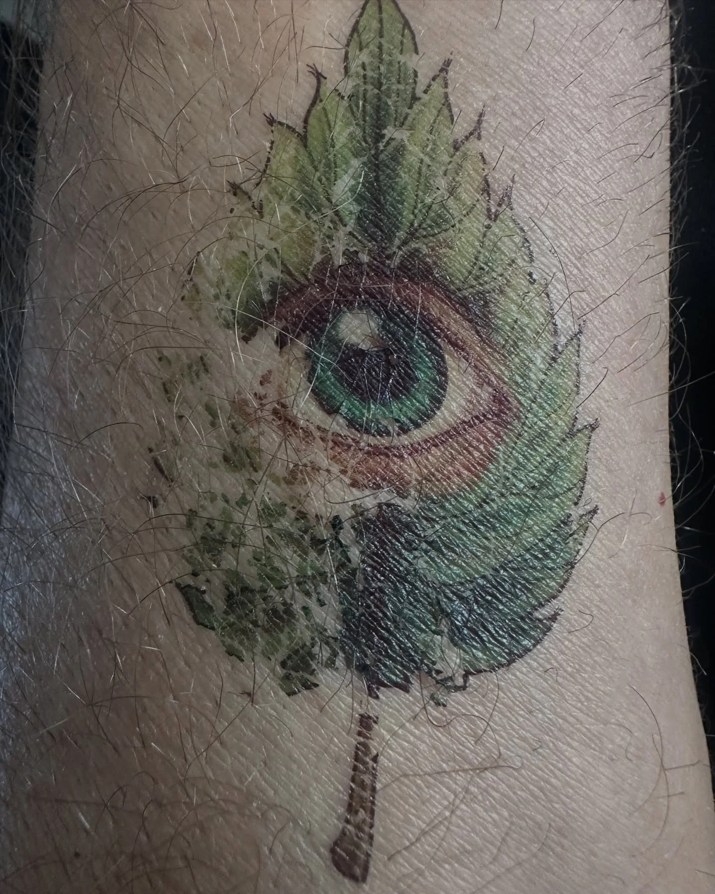 I don&rsquo;t have any real tattoos. But this temporary one was resonating. Nettles and seeing&hellip; the desire to be seen as well as to see others. Respectful in admiration and holding boundaries.