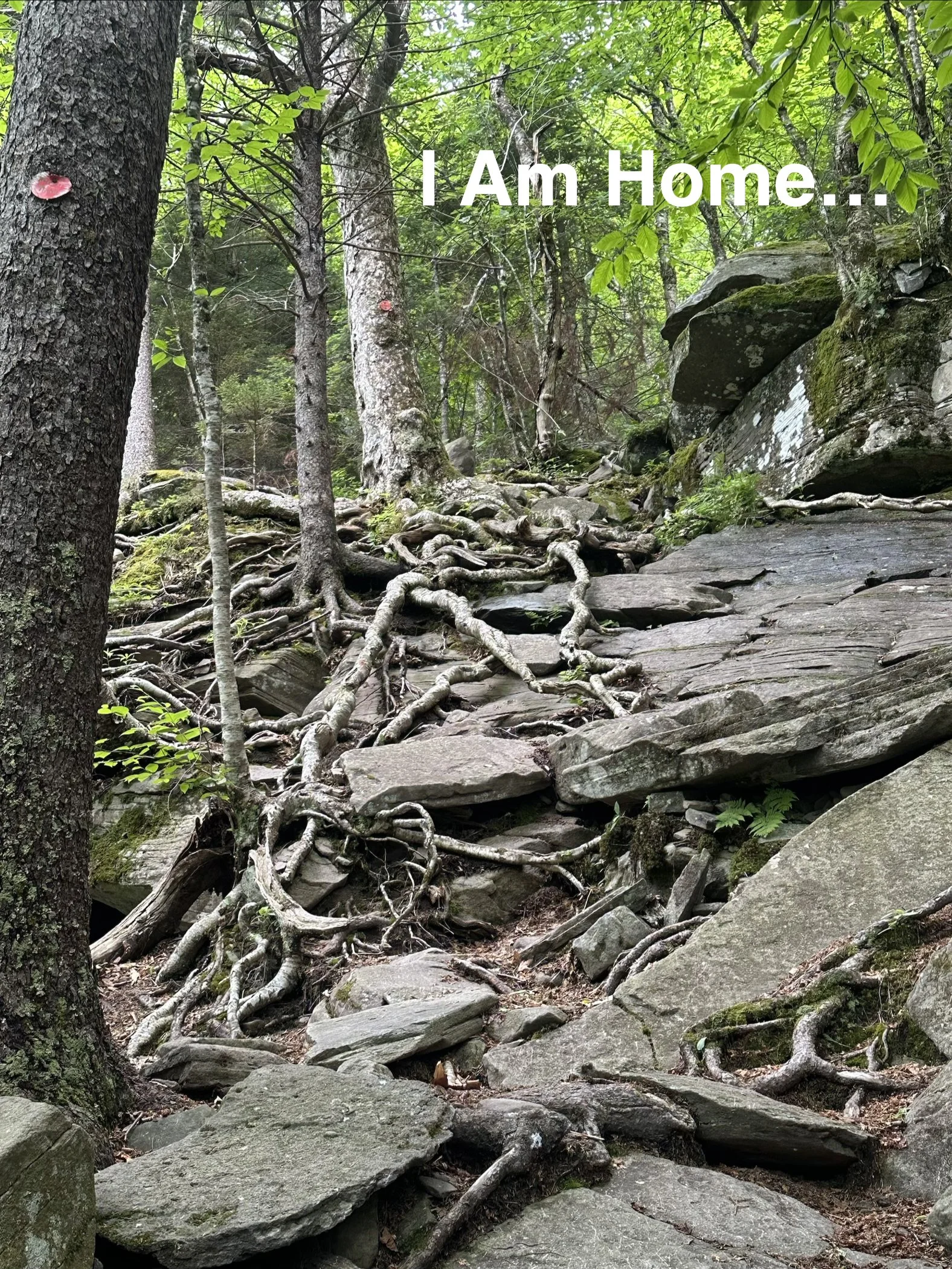 This Mantra kept me going…&nbsp;