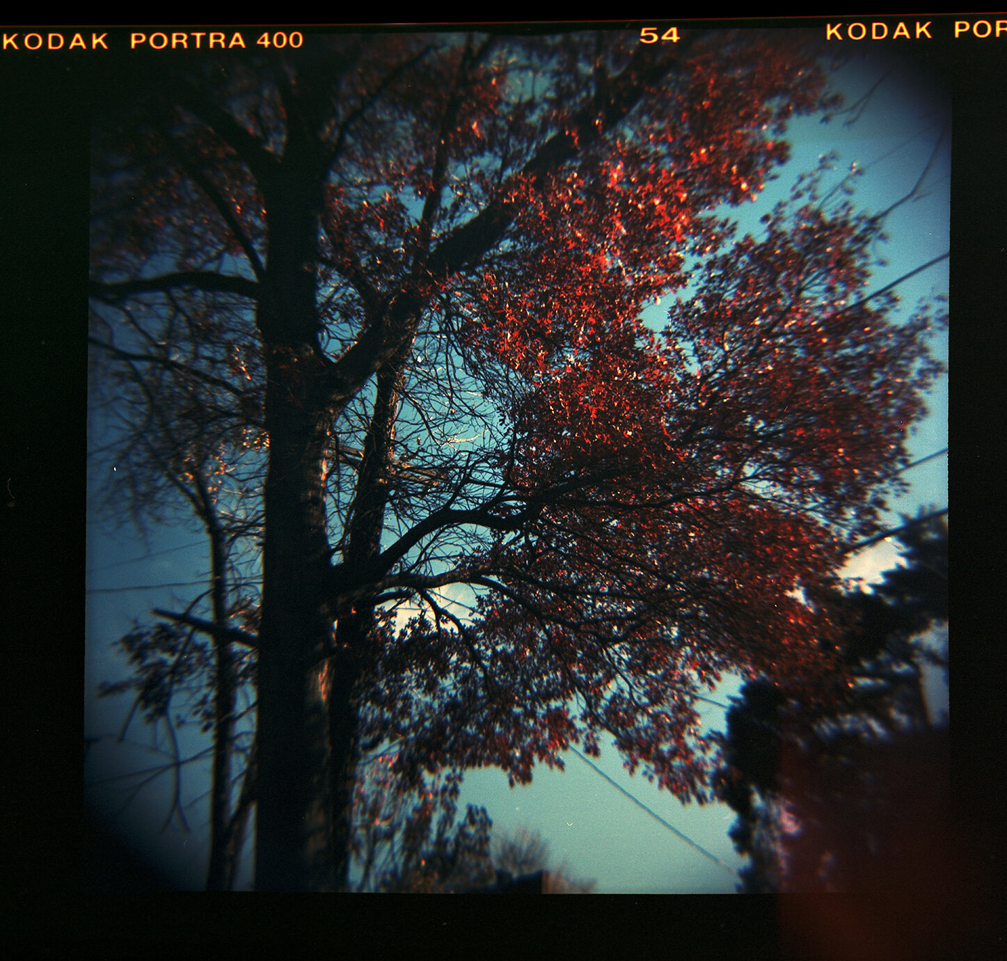 Kodak - 8 (reduced).jpg
